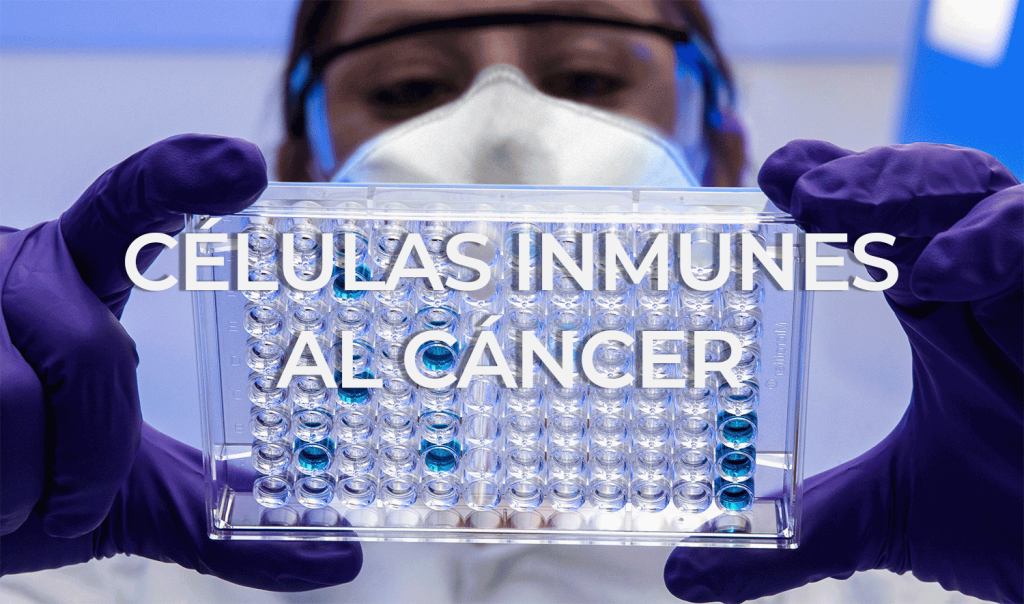 Células inmunes al cáncer